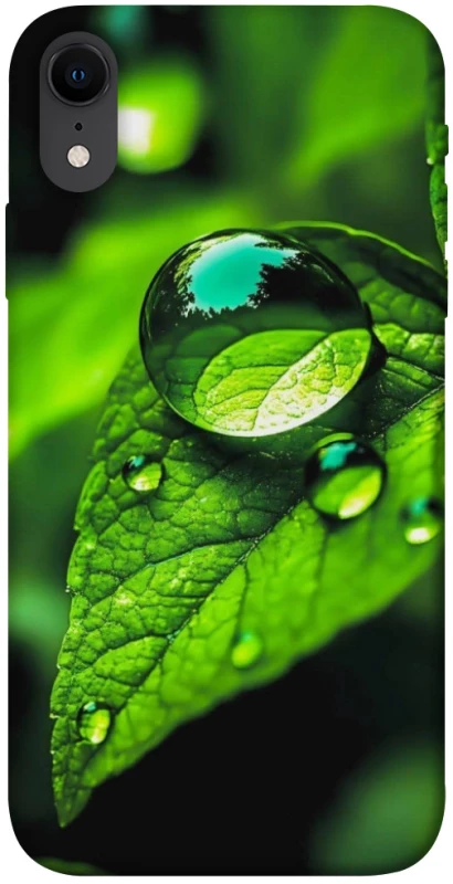 Чехол на Apple iPhone XR (6.1") Flowers v16 фото 1 из 1