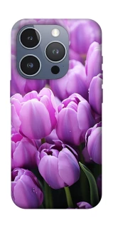 Чехол на Apple iPhone 16 Pro Фиолетовые тюльпаны фото 1 из 1