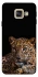 Чохол на Samsung A520 Galaxy A5 (2017) Leopard v4 фото 1 з 1