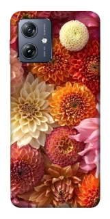 Чохол на Motorola Moto G54 Bouquet фото 1 Чохол на Motorola Moto G54 Bouquet фото 1 з 1