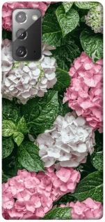 Чехол на Samsung Galaxy Note 20 Secret Garden фото 1 из 1