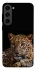 Чехол на Samsung Galaxy S23 Leopard v4 фото 1 из 1