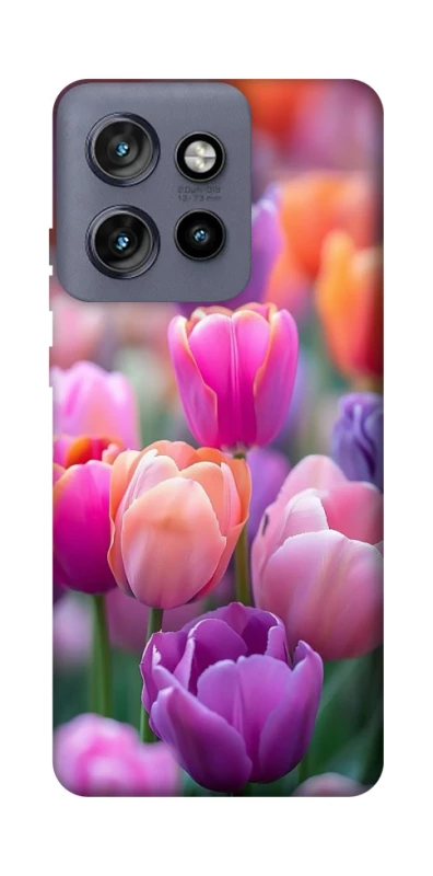 Чохол на Motorola Edge 50 Neo Тюльпанове поле фото 1 з 1