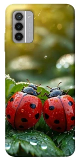 Чехол на Nokia G42 Flowers v23 фото 1 из 1