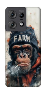 Чехол на Motorola Edge 50 Pro Шимпанзе v3 фото 1 из 1