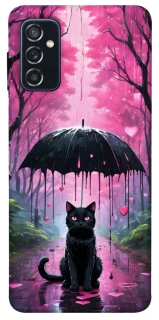 Чохол на Samsung Galaxy M52 Black cat фото 1 з 1