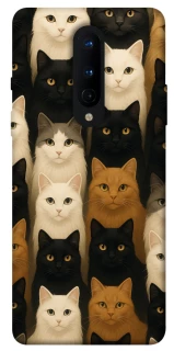 Чехол на OnePlus 8 Colorful Cat Collage фото 1 из 1