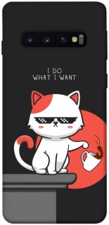 Чохол на Samsung Galaxy S10 I do what i wont фото 1 з 1