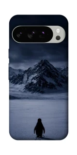 Чехол на Google Pixel 10 Pro But why? фото 1 из 1