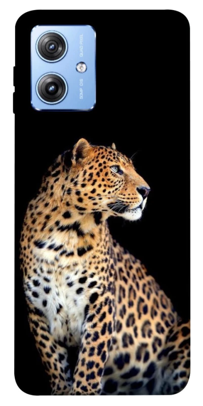 Чохол на Motorola Moto G84 Leopard v2 фото 1 з 1