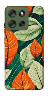 Чохол на Motorola Moto G56 5G Leaves фото 1 з 1