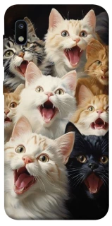 Чохол на Samsung Galaxy A10 (A105F) Коти фото 1 з 1