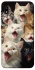 Чехол на Samsung Galaxy A10 (A105F) Коты фото 1 из 1