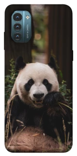 Чохол на Nokia G21 Панда фото 1 з 1