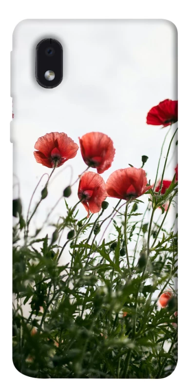Чехол на Samsung Galaxy M01 Core / A01 Core Поле маков фото 1 из 1