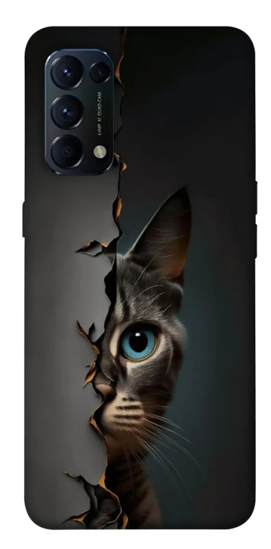 Чохол на Oppo Reno 5 4G Кіт-підглядач v2 фото 1 з 1