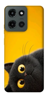 Чехол на Motorola Moto G Power (2025) This is Cat фото 1 из 1