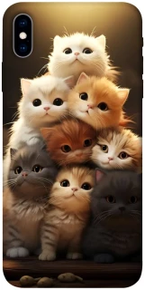 Чохол на Apple iPhone X (5.8") Чохол Kittie Love v2 фото 1 з 1