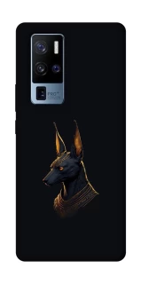 Чехол на Vivo X50 Pro+ Anubis фото 1 из 1