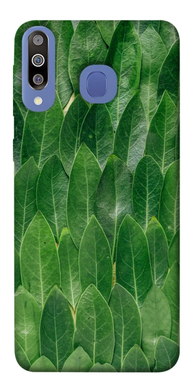 Чохол на Samsung Galaxy M30 Листя фото 1 з 1