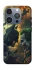 Чехол на Apple iPhone 16 Pro Batman and the Joker фото 1 из 1
