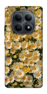 Чохол на Xiaomi Redmi Note 15 4G/5G (EU) Camomile фото 1 з 1