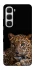 Чохол на Infinix Hot 60i Leopard v4 фото 1 з 1