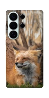 Чехол на Samsung Galaxy S26 Лиса фото 1 из 1