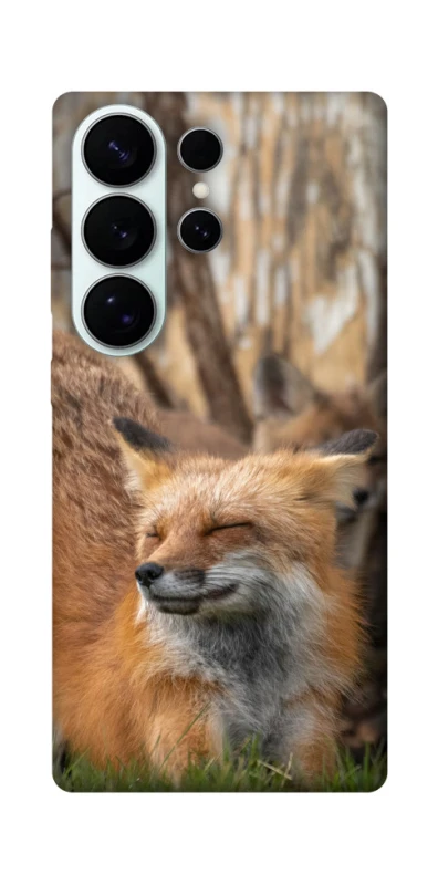 Чехол на Samsung Galaxy S26 Pro Лиса фото 1 из 1