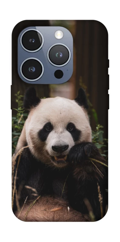 Чехол на Apple iPhone 16 Pro Панда фото 1 из 1