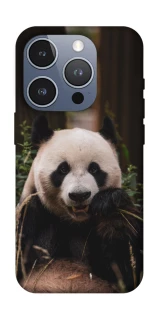 Чехол на Apple iPhone 16 Pro Панда фото 1 из 1