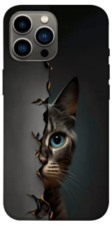 Чехол на Apple iPhone 12 Pro Max (6.7") Кот-подглядыватель v2 фото 1 из 1