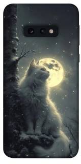 Чохол на Samsung Galaxy S10e Кіт під місяцем фото 1 з 1