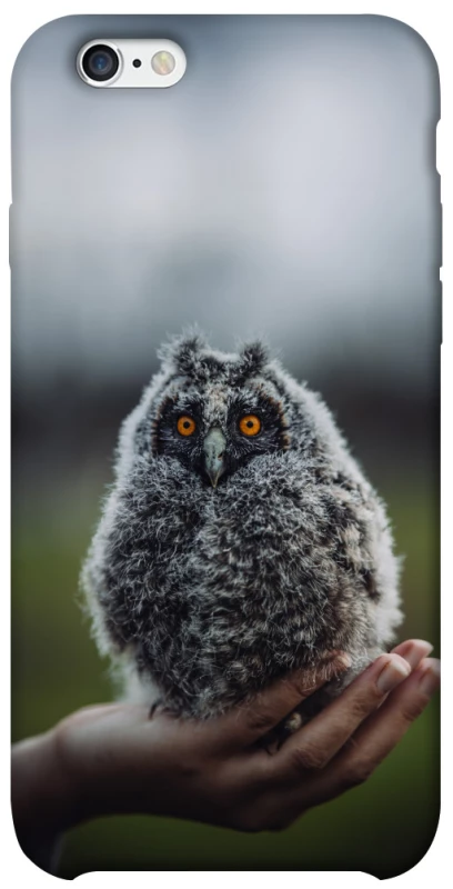 Чехол на Apple iPhone 6/6s (4.7") Совёнок фото 1 из 1