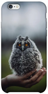 Чохол на Apple iPhone 6/6s (4.7") Совеня фото 1 з 1