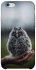 Чехол на Apple iPhone 6/6s (4.7") Совёнок фото 1 из 1