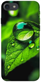 Чехол на Apple iPhone 7 / 8 (4.7") Flowers v16 фото 1 из 1