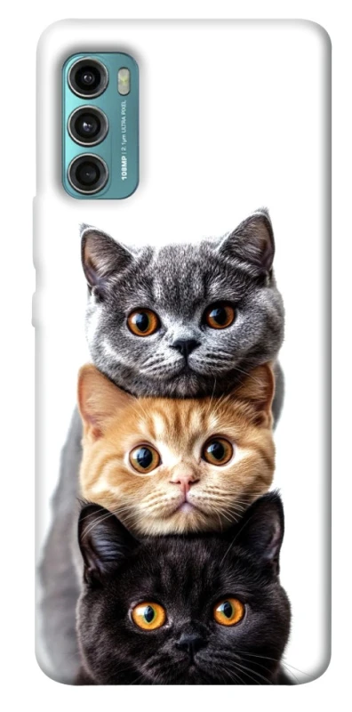 Чохол на Motorola Moto G60 Гарні котики фото 1 з 1