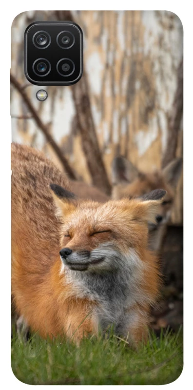 Чехол на Samsung Galaxy A12 Лиса фото 1 из 1