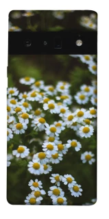 Чехол на Google Pixel 6 Pro Ромашки v13 фото 1 из 1