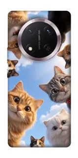Чехол на Honor X9c Cats фото 1 из 1