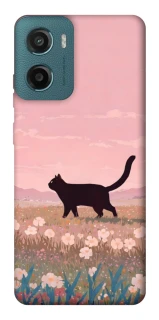 Чехол на Motorola Moto G06 cat on a field фото 1 из 1
