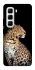 Чехол на Infinix Hot 50 Pro Leopard v2 фото 1 из 1
