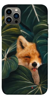 Чехол на Apple iPhone 12 Pro (6.1") Fox фото 1 из 1