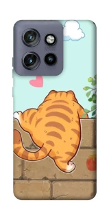 Чехол на Motorola Edge 50 Neo Cat the meow фото 1 Чехол на Motorola Edge 50 Neo Cat the meow фото 1 из 1