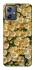 Чохол на Motorola Moto G54 Camomile фото 1 Чохол на Motorola Moto G54 Camomile фото 1 з 1