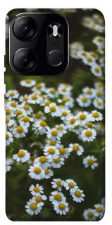 Чехол на Tecno Spark Go 2023 Ромашки v13 фото 1 из 1
