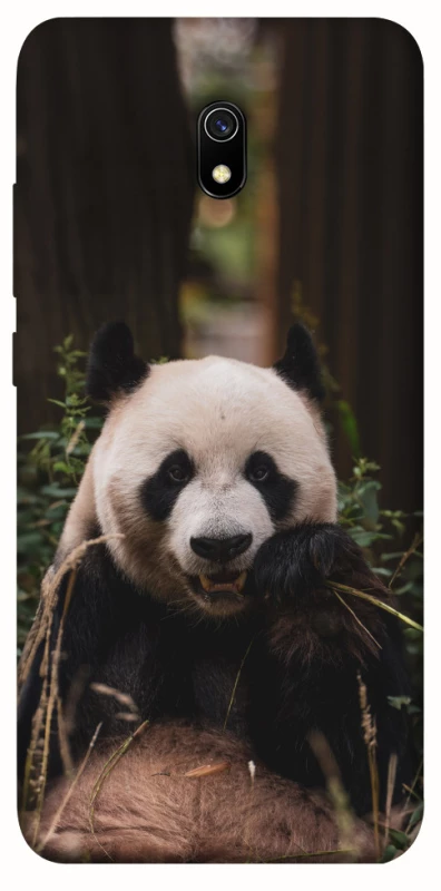 Чохол на Xiaomi Redmi 8a Панда фото 1 з 1