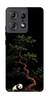 Чохол на Motorola Edge 50 Pro Panda and tree фото 1 з 1