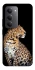 Чехол на Xiaomi Redmi 15 (Global) Leopard v2 фото 1 из 1